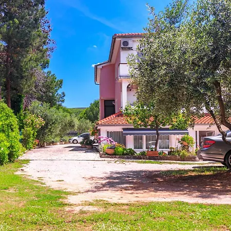 Belina For Two * 푸나트