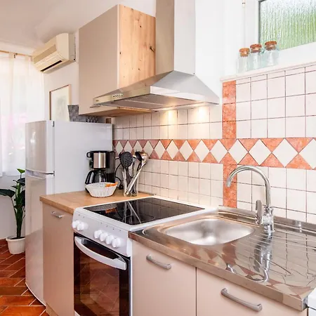 Belina For Two 푸나트