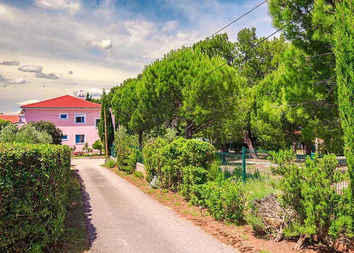 Belina For Two * Punat