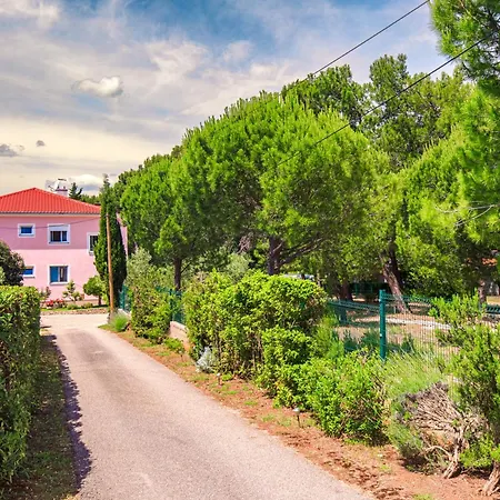 Belina For Two * Punat